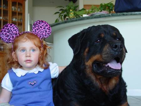 Welcome to Nighthawk Rottweilers